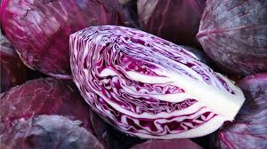 Cabbage- red