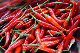 Chillies-red
