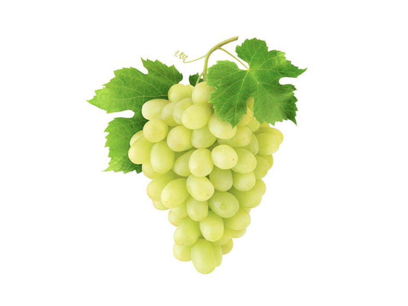 Grapes (Green) - Image 3