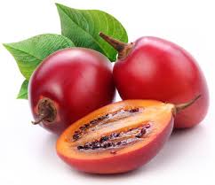 Tree tomato