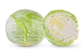 Cabbage- white